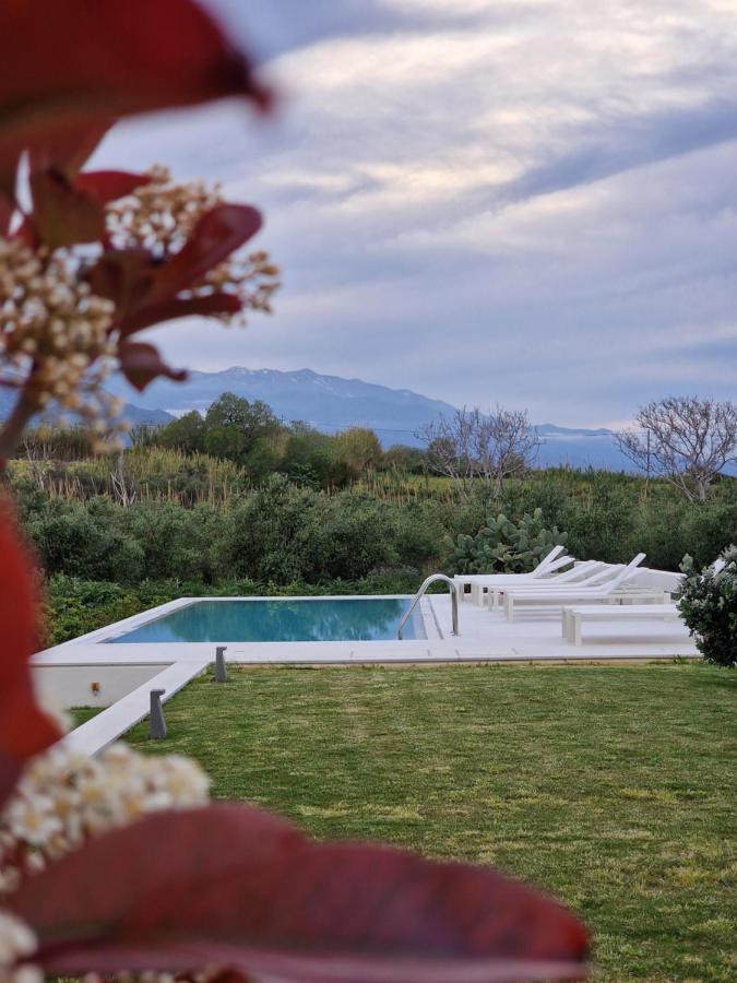 Mikro Livadi Special Lodges - Has An Eco Salt Water Pool - 150M From The Beach Episkopi-Chania Exterior foto
